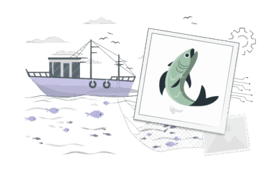 Progetto MarObsSys: un sistema di monitoraggio intelligente delle risorse marine